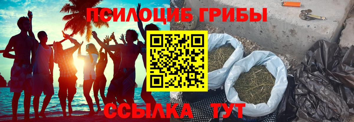 Псилоцибиновые грибы мицелий Сухой Лог